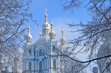 Saint-Petersburg, Rusya. Kış günü Smolny katedral. Kar, kar taneleri gökyüzünde