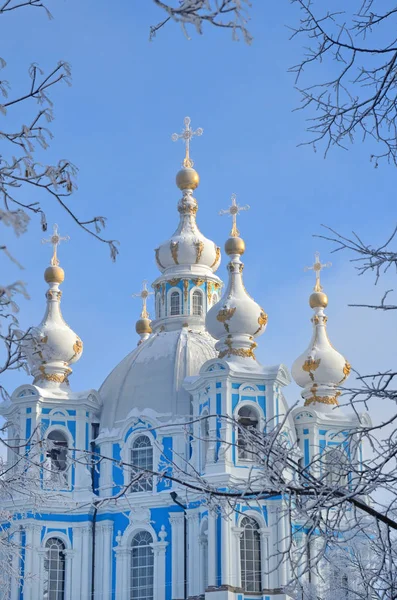 Russia Saint Petersburg Smolny Cathedral Winter Day Snowing Snowflakes Sky — Stock Photo, Image