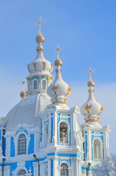 Rusia San Petersburgo Catedral Smolny Día Invierno Está Nevando Copos —  Fotos de Stock