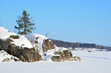 Russia, lake Ladoga (Ladozhskoye), the gulf of Murolakhti (Kocherga) in frosty winter day clipart