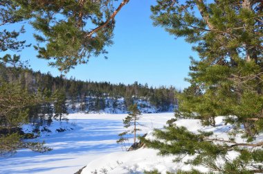 Rusya, Ladoga Gölü (Ladozhskoye), Körfez, Murolakhti (Kocherga) içinde soğuk kış günü