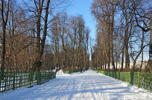 Russia, St. Petersburg, Summer garden in winter