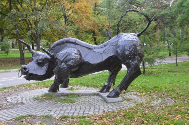 Habarovsk, Rusya, Ekim, 5, 2017. Burç Toros Habarovsk şehir sonbaharda Amur Bulvarı'nda yapılan heykel