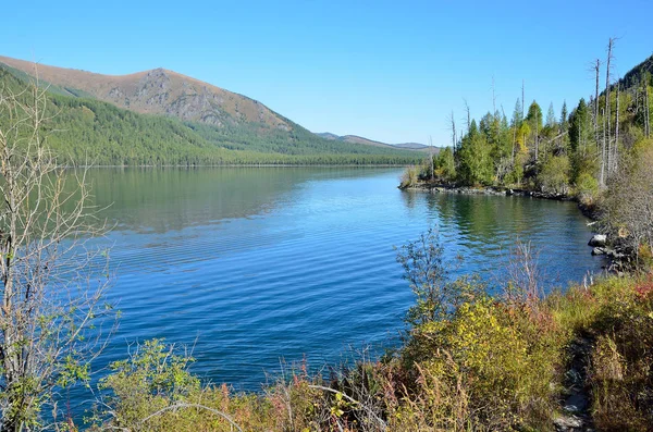ロシア アルタイ地方 Ust Koksinsky Multinskoye 湖を中間します — ストック写真