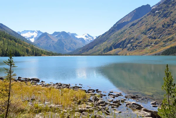 Rusia Wilayah Altai Distrik Ust Koksinsky Tengah Danau Multinskoye Seal — Stok Foto