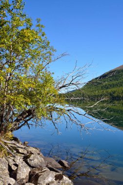Rusya, Altay bölgesi, Ust-Koksinsky bölgesi, Eylül ayında alt Multinskoye Gölü