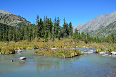Rusya, dağ Altay, nehir Multa üst ve orta Multinskoye göller arasındaki alanda