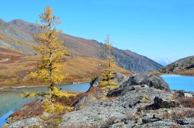 Güneşli havalarda sonbaharda Rusya, Altay Dağları, göl Acchan (Akchan)