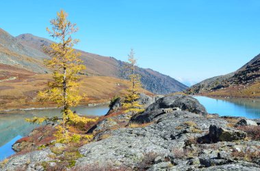 Güneşli havalarda sonbaharda Rusya, Altay Dağları, göl Acchan (Akchan)