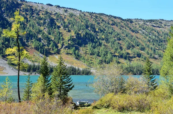 Russia Territorio Altai Distretto Ust Koksinsky Lago Multinskoye Medio Settembre — Foto Stock