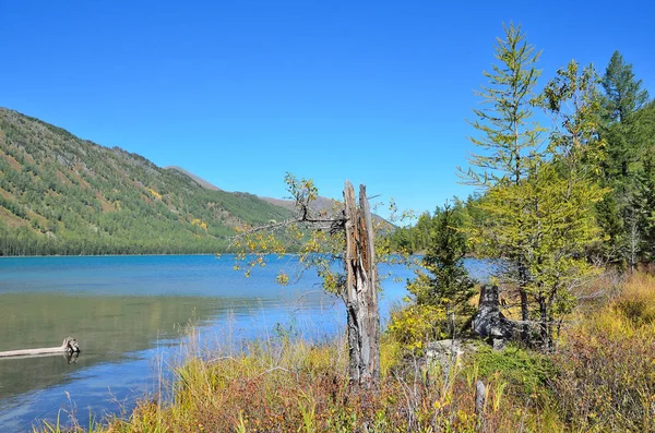 Russia, Altai territory, middle Multinskoye lake in sunny weather