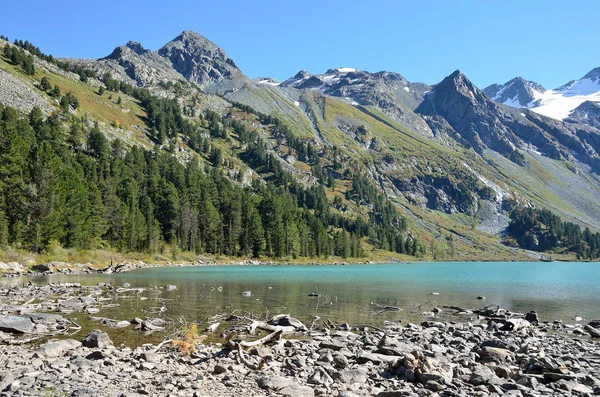 Rusia Republik Altai Distrik Ust Koksinsky Bagian Atas Danau Multinskoye — Stok Foto