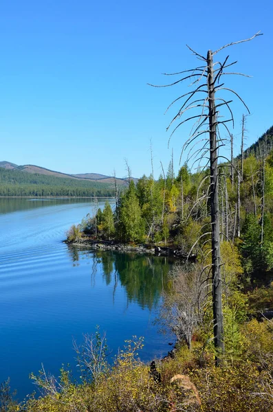 Rússia Território Altai Meio Lago Multinskoye Tempo Ensolarado — Fotografia de Stock