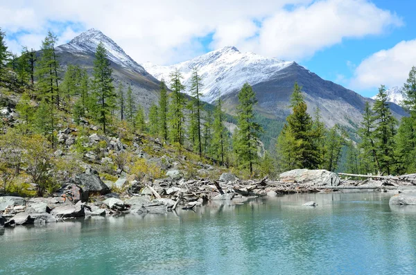 Gran Lago Shavlinskoe Montañas Altai Rusia —  Fotos de Stock