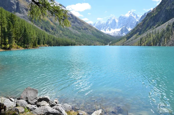 山の背景に晴れた日に大規模なShavlinskoye湖AのSkazkaとKrasavitsa 物語と美しい アルタイ山脈 ロシア — ストック写真