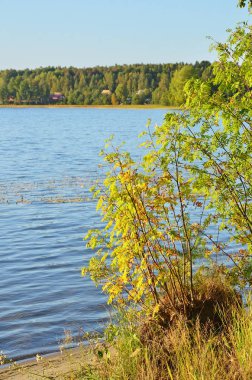 Karelia, güneşli sonbahar gününde Pertozero Gölü