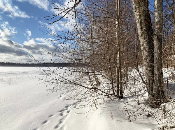 Russie Région Tcheliabinsk Monument Nature Lac Uvildy Janvier Par Temps — Photo