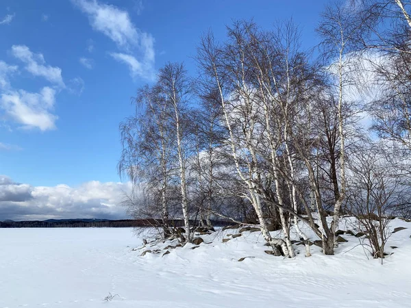 Russia Chelyabinsk Region One Islands Lake Uvildy January Frosty Weather — Stock Photo, Image