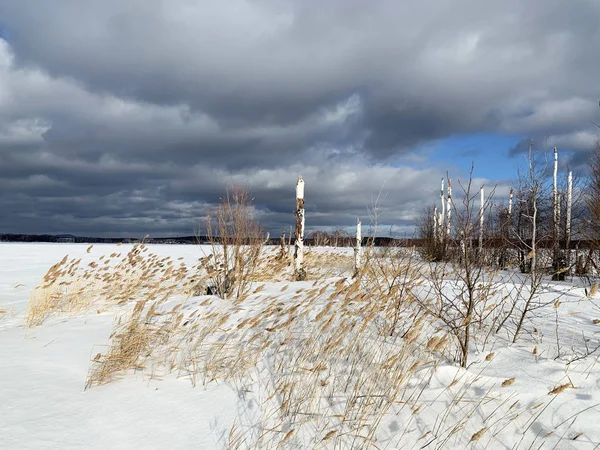 Rusia Región Chelyabinsk Una Las Islas Lago Uvildy Enero Clima —  Fotos de Stock