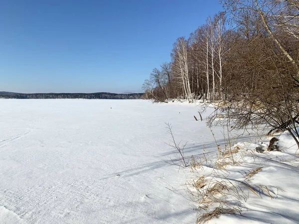 Russland Gebiet Tscheljabinsk Laubwald Ufer Der Insel Elm See Uvildy — Stockfoto