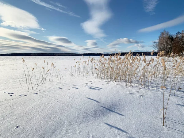 Rosja Obwód Chełmiński Jezioro Uvildy Słoneczny Dzień Stycznia — Zdjęcie stockowe