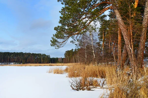 Jezioro Sugomak Zimą Południowy Ural Rosja — Zdjęcie stockowe