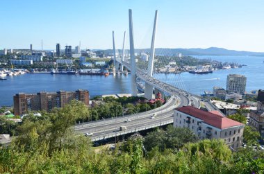 Rusya 'da yaz aylarında Vladivostok' taki Zolotoy Rog Körfezi üzerinde kablo destekli köprü