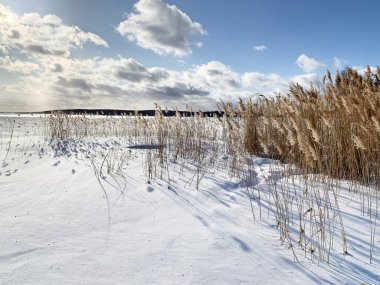 Russia, Chelyabinsk region. Lake Uvildy in cloudy January day clipart