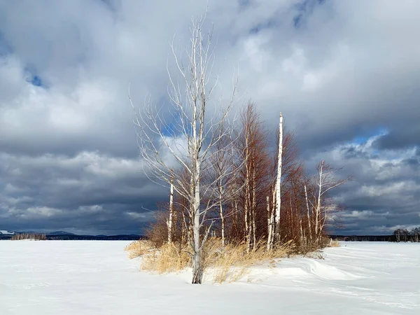 Rosja Obwód Chełmiński Mała Wyspa Jeziorze Uvildy Zimowy Pochmurny Dzień — Zdjęcie stockowe