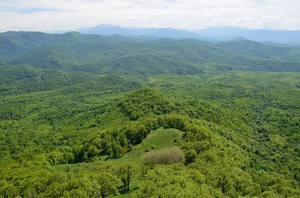 Adygea Paysage Montagne Printemps Dans Contexte Principale Crête Caucasienne — Photo