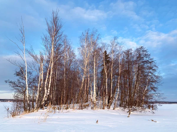 Rusland Chelyabinsk Regio Klein Eiland Aan Het Meer Uvildy Winter — Stockfoto