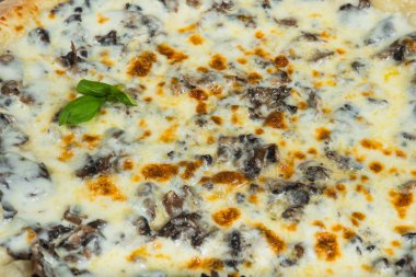 Tavuk ve mantar biberiye ve baharat bir l ile ilgili ile pizza