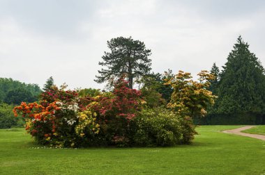 Highclere Kalesi 'nin etrafındaki güzel bahçe, Jacobethan tarzı bir kır evi, Carnarvon Kontesi ve Kontesi' nin evi. Downton Abbey 'in Yeri - Newbury Hampshire Uk