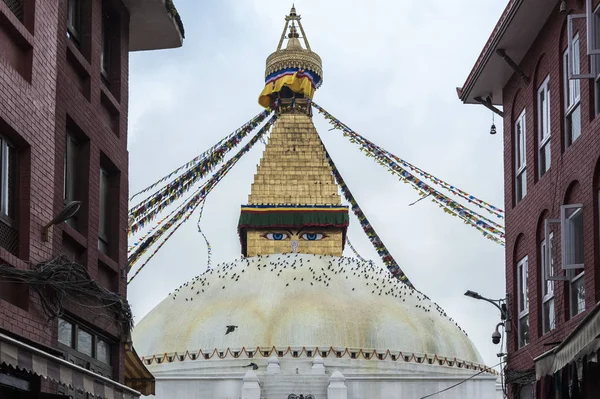 ブーダナート ネパールのカトマンズにある仏教のストゥーパです ユネスコ世界遺産 — ストック写真