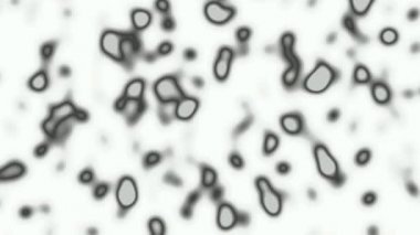 Parlak siyah ve beyaz parçacıklar arka plan. Sorunsuz döngü.