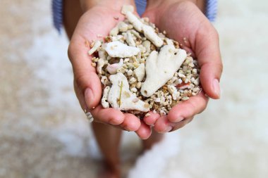 Bir kadın el istiridye ve mercan denizde tutar