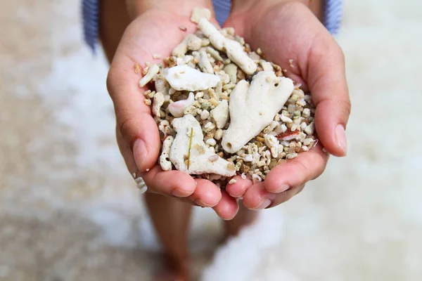 Una Mano Donna Tiene Vongole Corallo Nel Mare Fotografia Stock