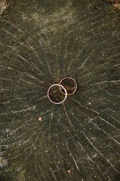 Wedding Rings Wooden Stump Wedding Rings Tree — Stockfoto