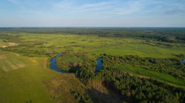 Yaz yeşili doğa nehir manzarası. Hava görünümü