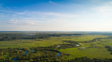 Yaz yeşili doğa nehir manzarası. Hava görünümü