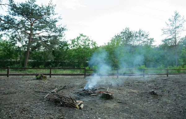 在树林里的篝火边煎香肠 — 图库照片