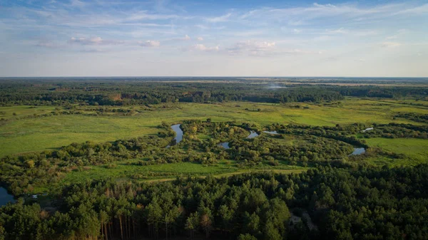 Sommar Grön Natur Flod Landskap Flygbild — Stockfoto