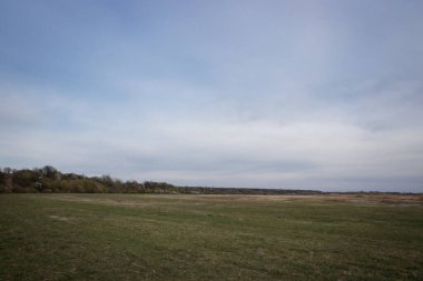 Güzellik abidesi bahar manzarası. Baharda tarla. Bahar çayırı