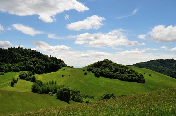 Kaiserstuhl Landscape