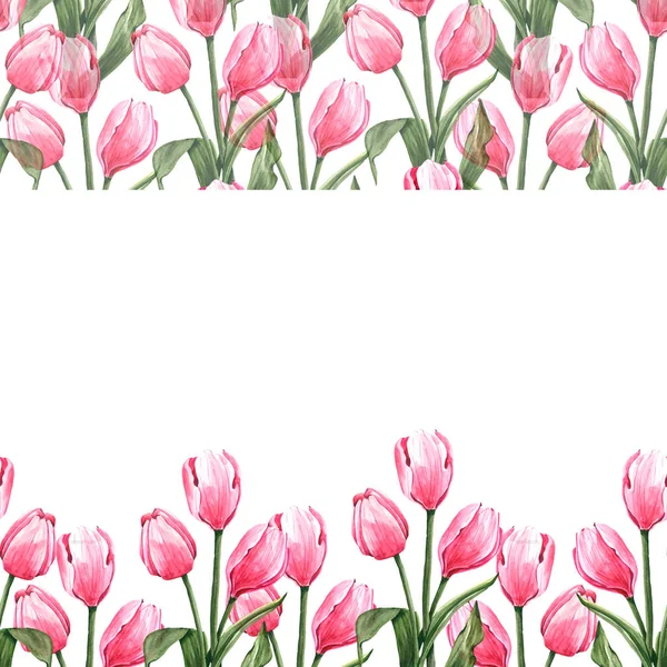 Placa floral com tulipas — Fotografia de Stock
