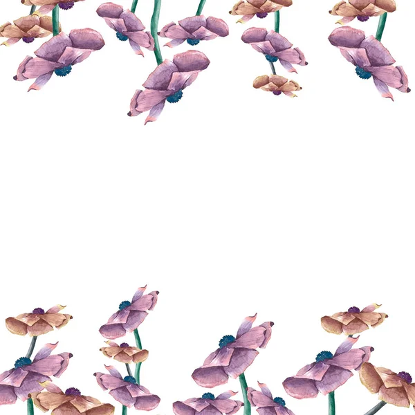 Flowers Anemone Pattern — Stock Photo, Image