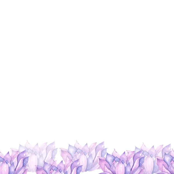 Квітка лотоса кадру — стокове фото
