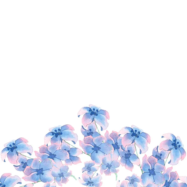 Μπλε Ανοιξιάτικα λουλούδια — Φωτογραφία Αρχείου