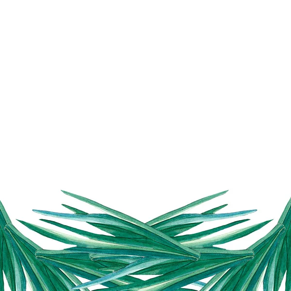 Grama verde Aquarela — Fotografia de Stock
