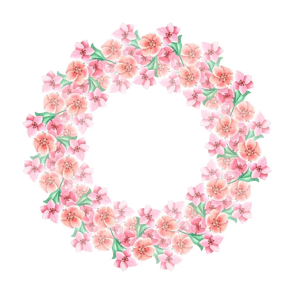 Круглая цветочная рамка — стоковое фото